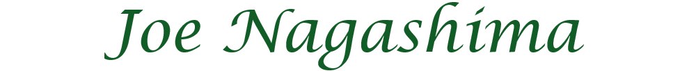 Joe Nagashima